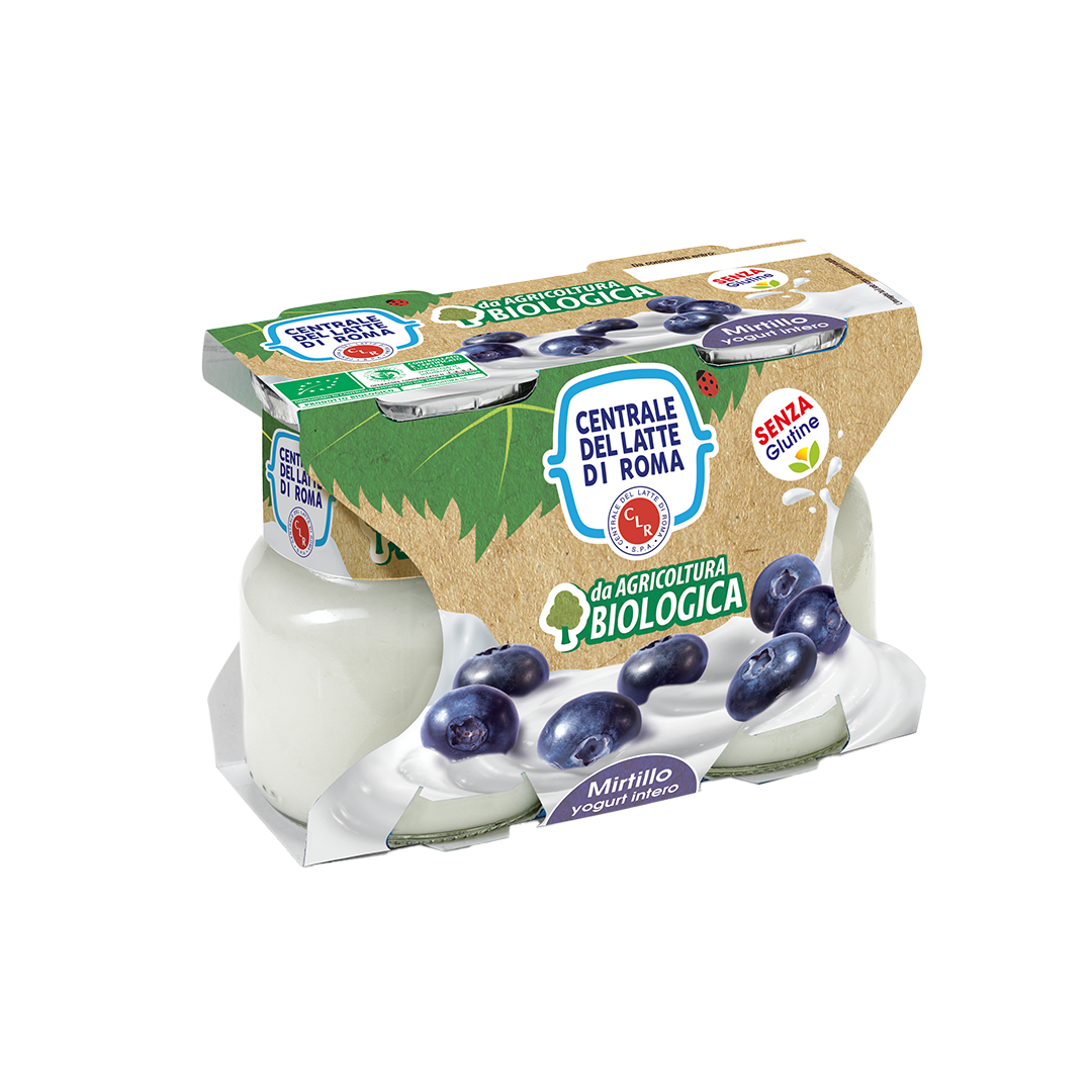 Yogurt Intero al Mirtillo da Agricoltura Biologica 