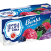 Yogurt intero frutti di bosco con frutta in pezzi Centrale Del Latte Di Roma