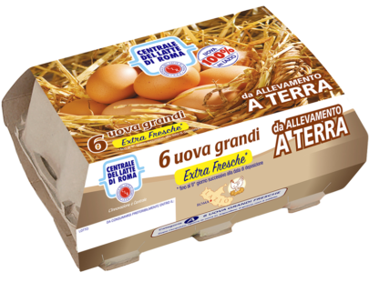 6 uova grandi extra fresche allevamento a terra Centrale del Latte di Roma